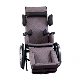 Athena Bridge Wheelchair